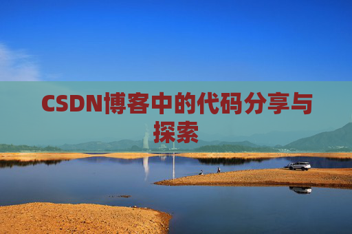 CSDN博客中的代码分享与探索